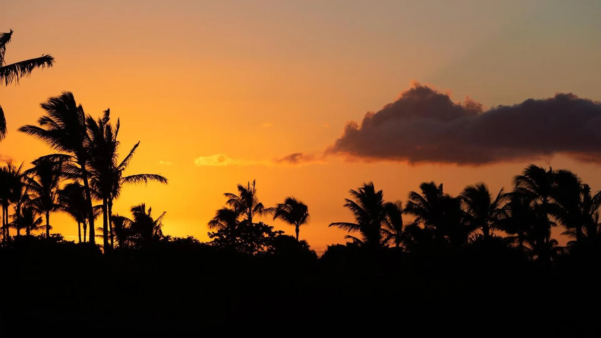Hawaii Blue Villa Charming 3Br Golf Villas Home Close To Pool Ваиколоа-Виллидж 0*,  США